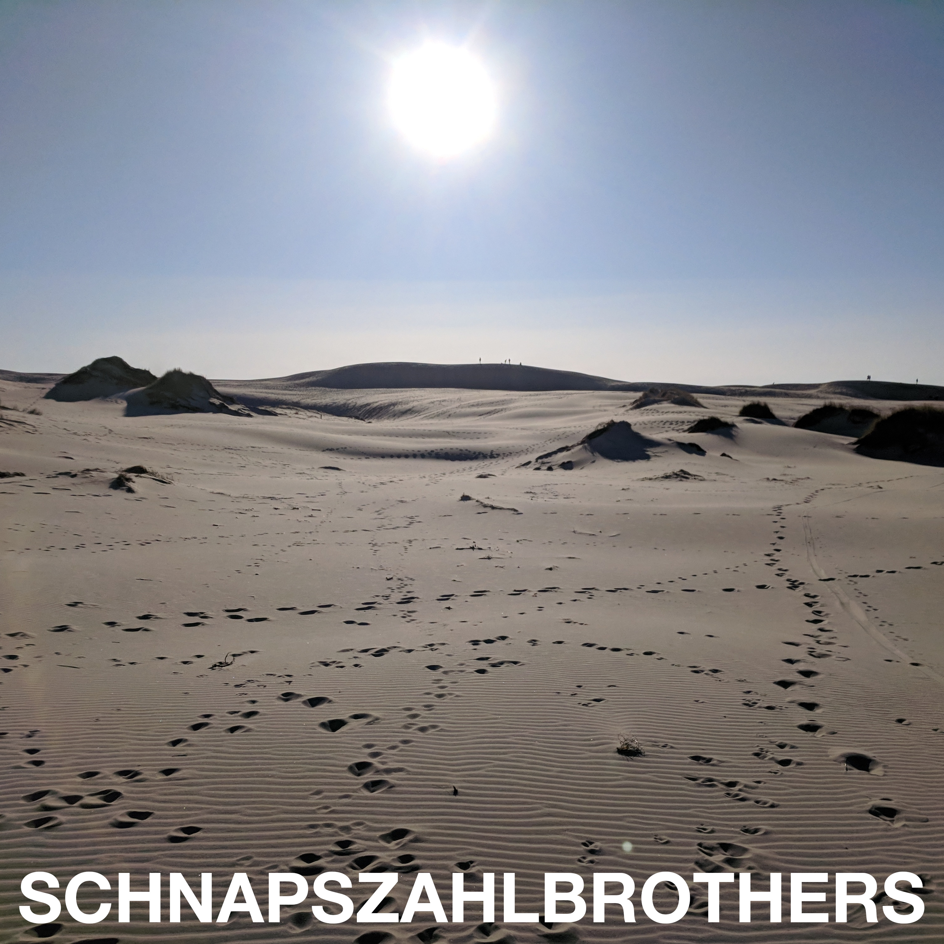 Schnapszahlbrothers