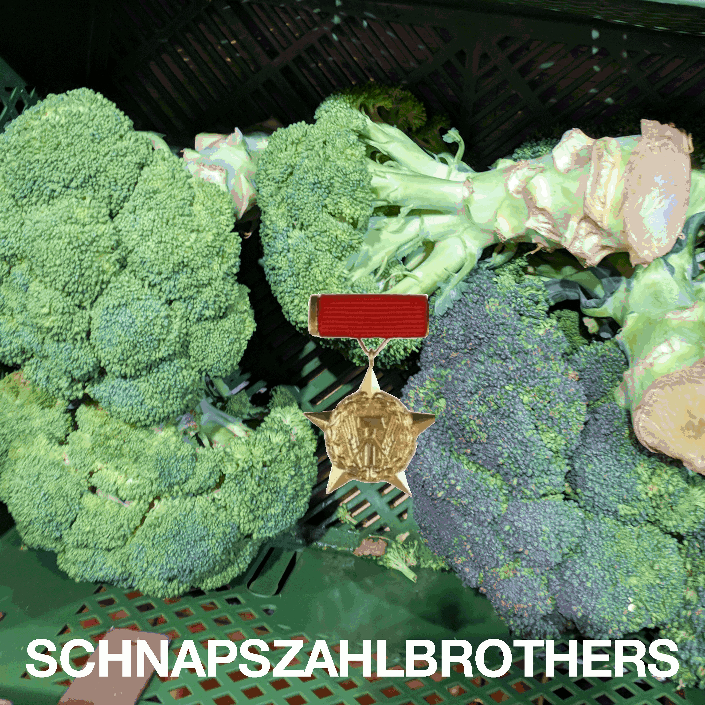 Schnapszahlbrothers